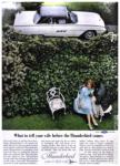 Thunderbird 1962 108.jpg